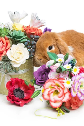 rabbit, happy, кролик, eggs, spring, flowers, цветы