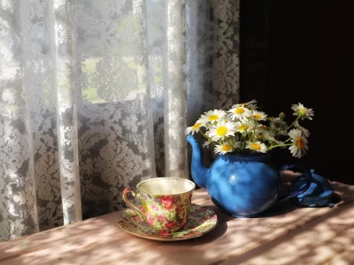 ромашки, дом, окно, чашка