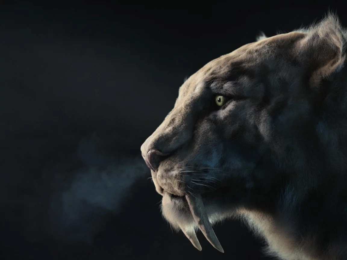 хищник, арт, клыки, зверь, sabertooth