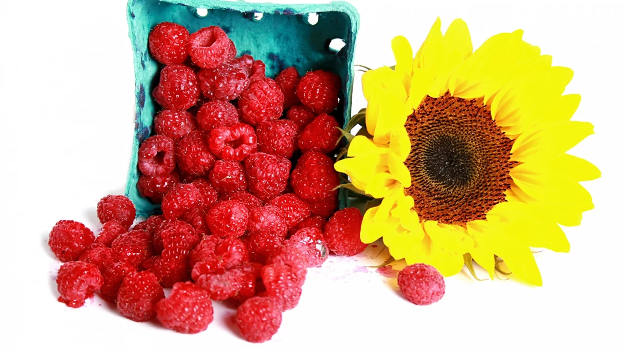ягоды, малина, подсолнух, raspberry, sunflowers