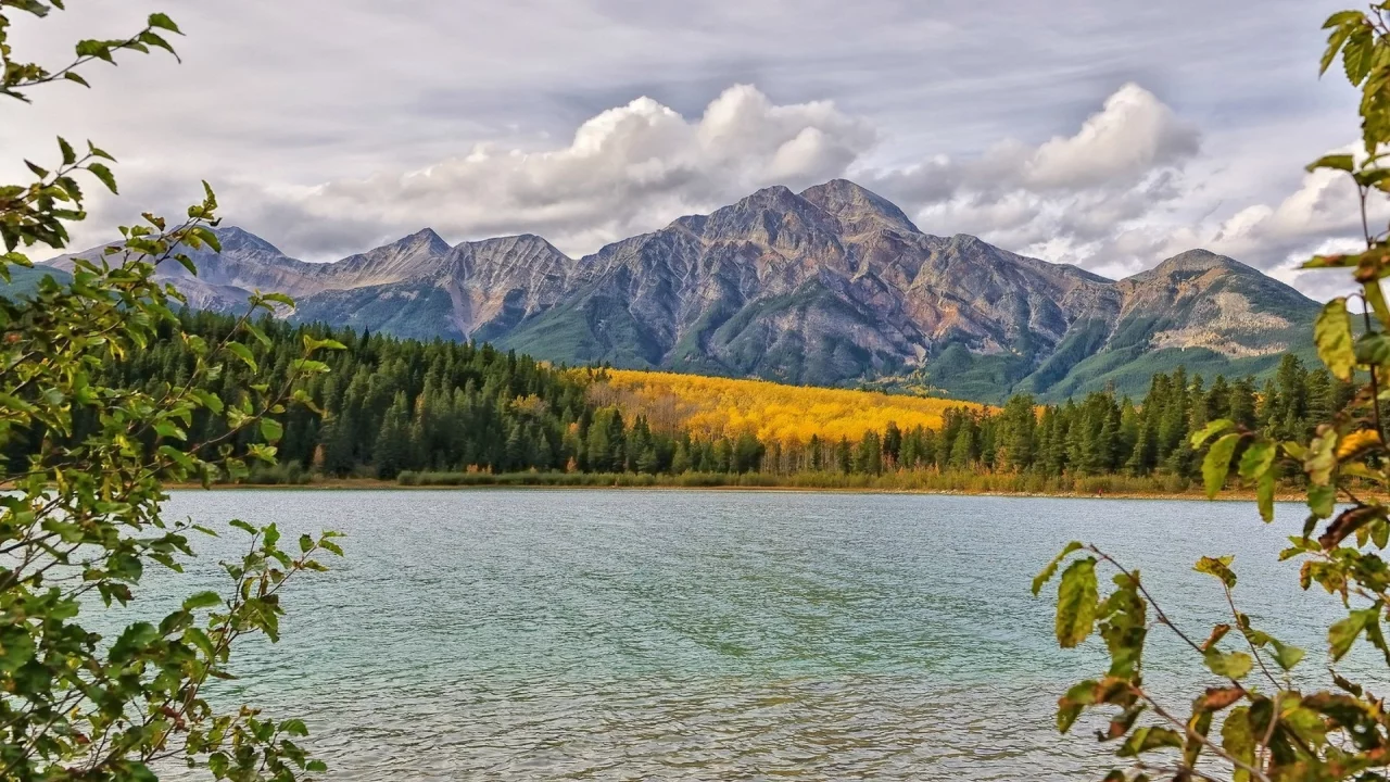 пейзаж, природа, красота