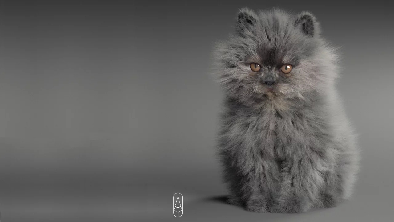 кошка, малыш, арт, котёнок, пушистик