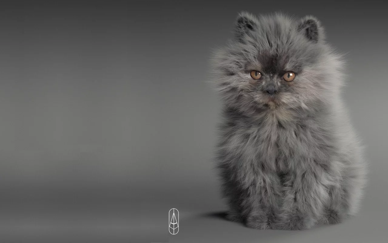 кошка, малыш, арт, котёнок, пушистик