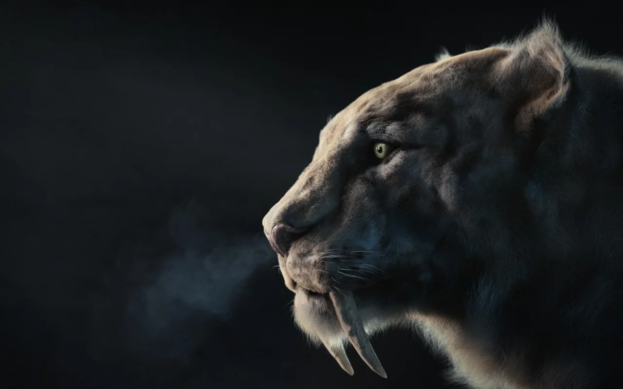 хищник, арт, клыки, зверь, sabertooth