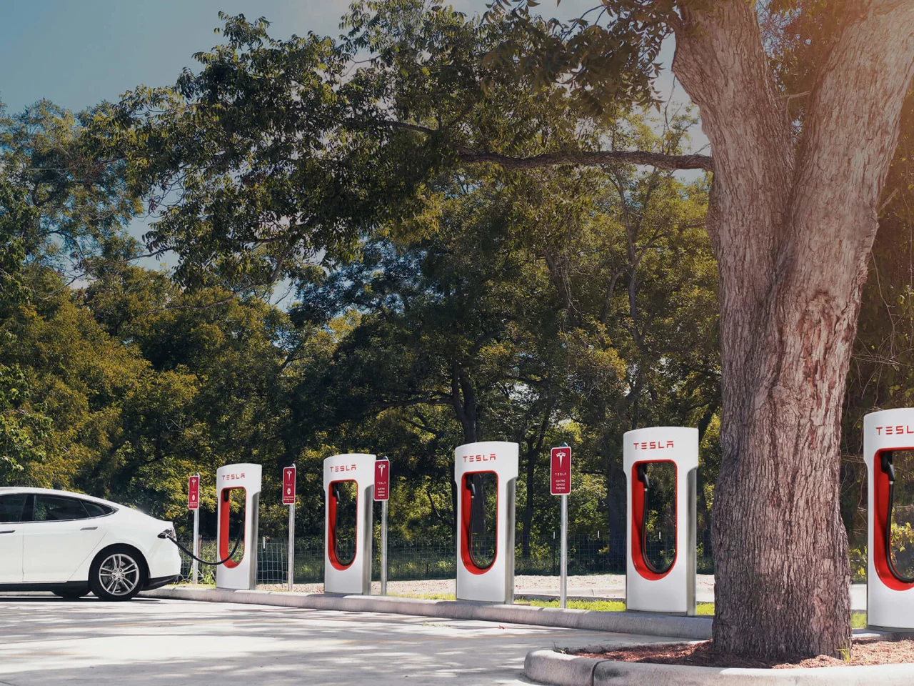электромобиль, зарядка, белый, тесла, tesla, model s, пятидверный