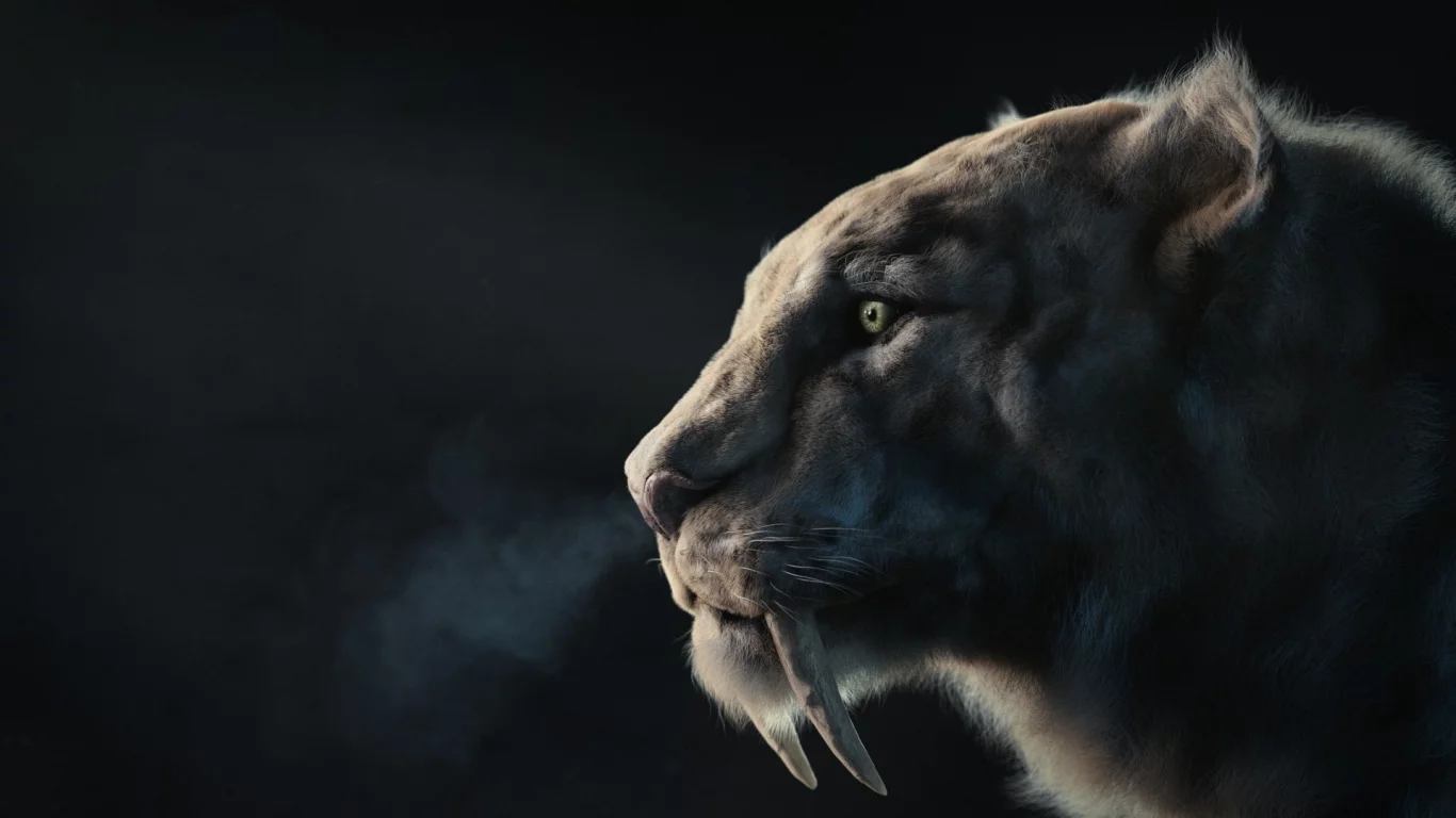 хищник, арт, клыки, зверь, sabertooth