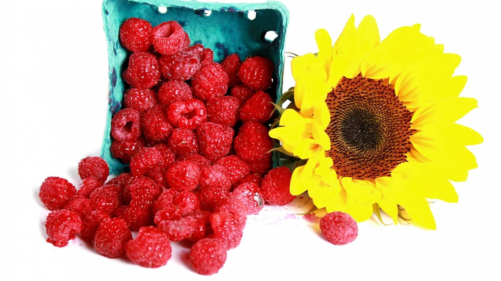 ягоды, малина, подсолнух, raspberry, sunflowers