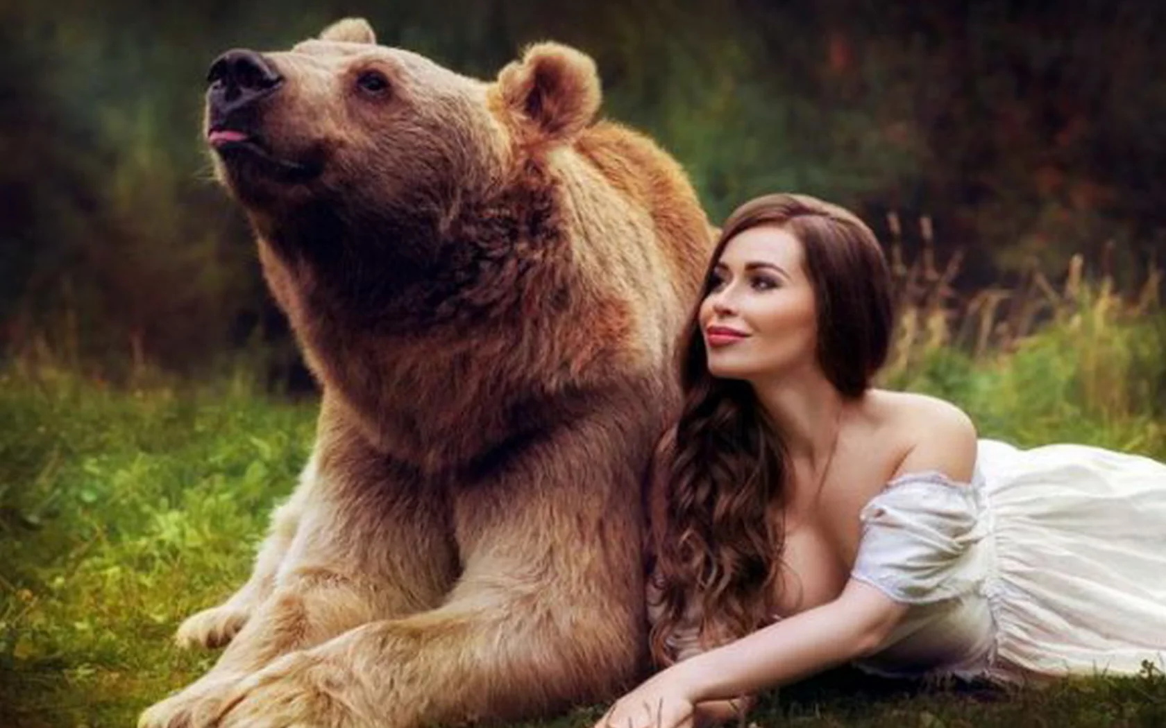 девушка и медведь, поза, грудь, волосы, улыбка, платье