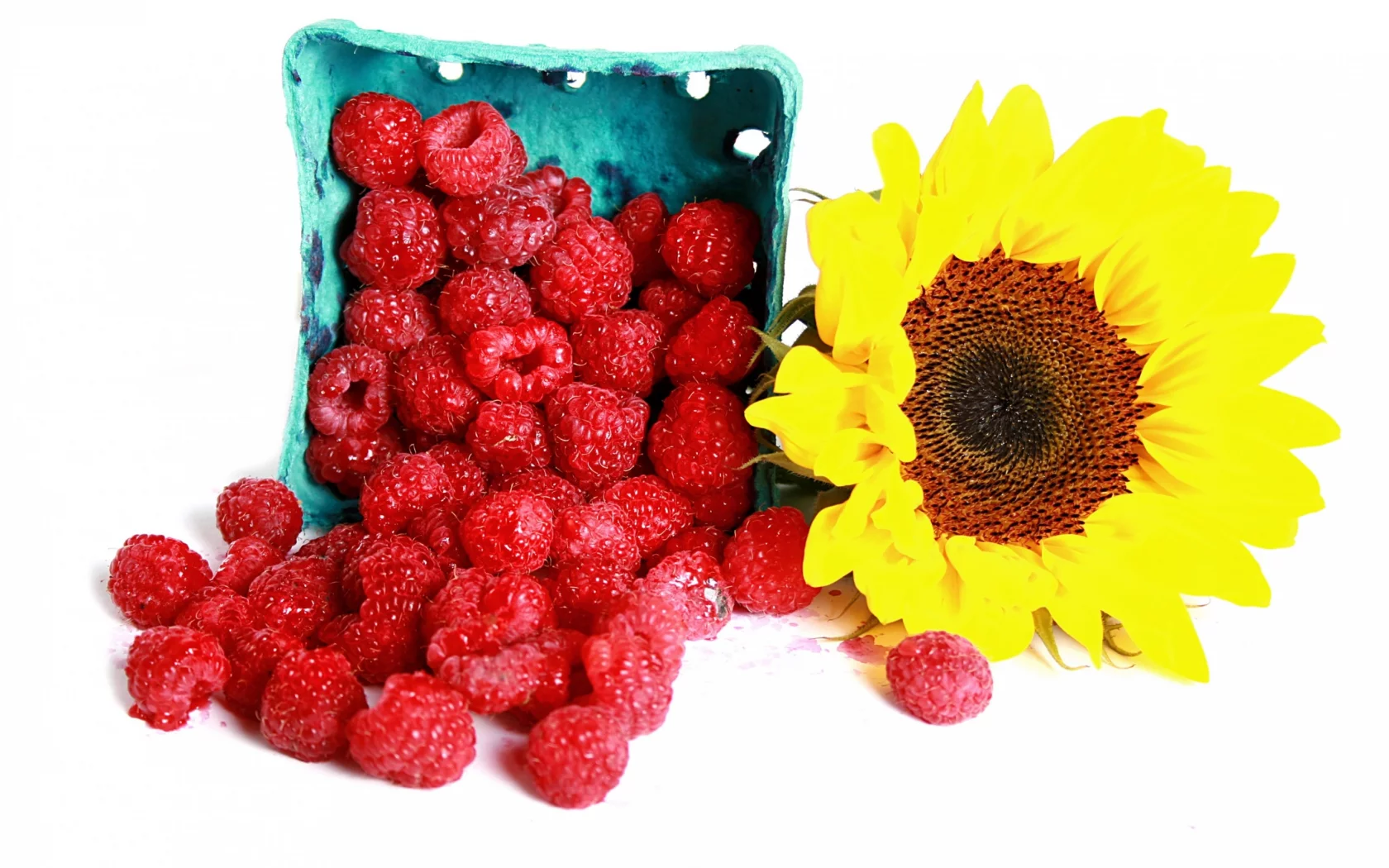 ягоды, малина, подсолнух, raspberry, sunflowers