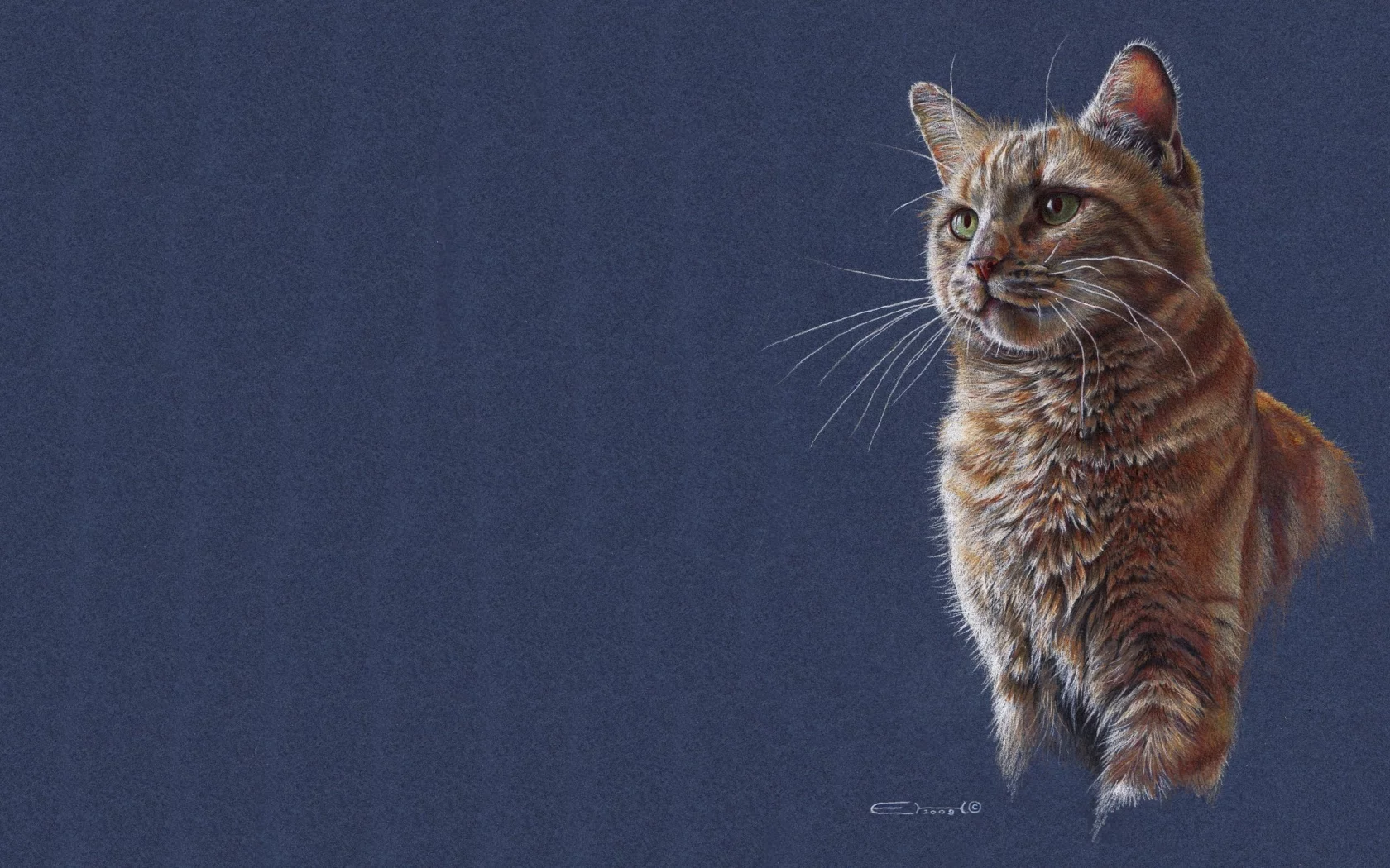 кошка, кот, рисунок, арт