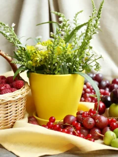 цветы, вишня, малина, стол, корзина, яблоки, ягода, горшок, натюрморт, крыжовник, черешня, скатерть, костяника