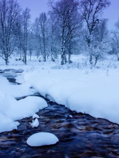 зима, снег, деревья, сугробы, речка
