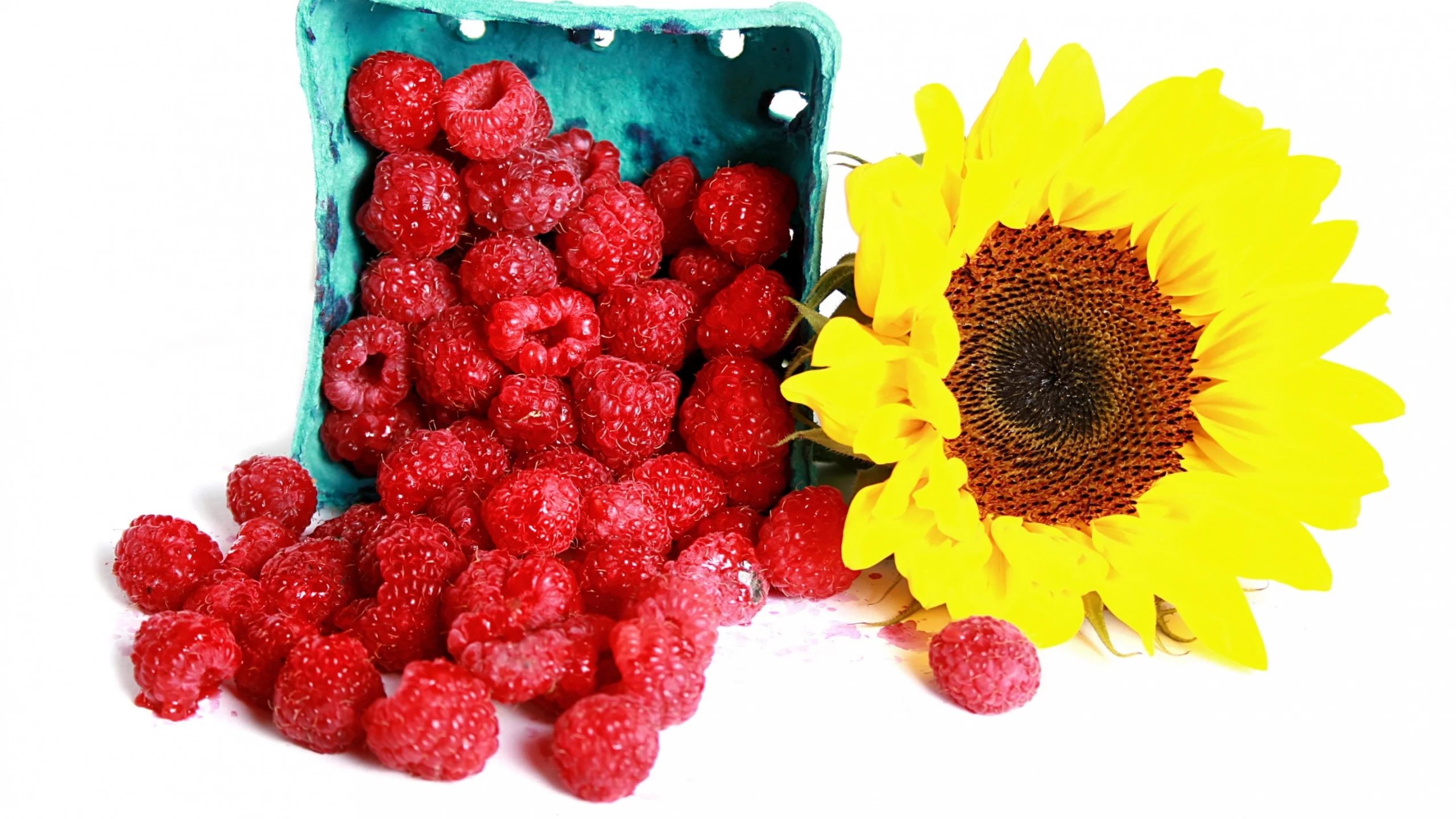 ягоды, малина, подсолнух, raspberry, sunflowers