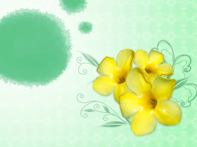 бутон, коллаж, рисунок, лепестки, желтый, солнышко, обои