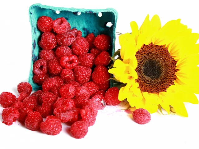 ягоды, малина, подсолнух, raspberry, sunflowers