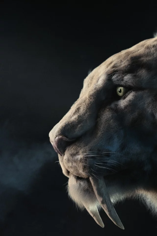 хищник, арт, клыки, зверь, sabertooth