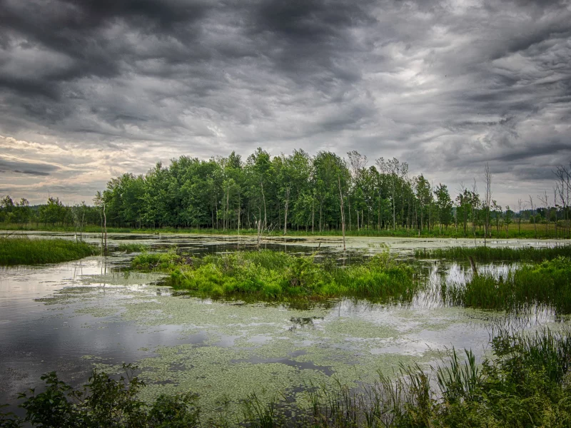 природа, красота