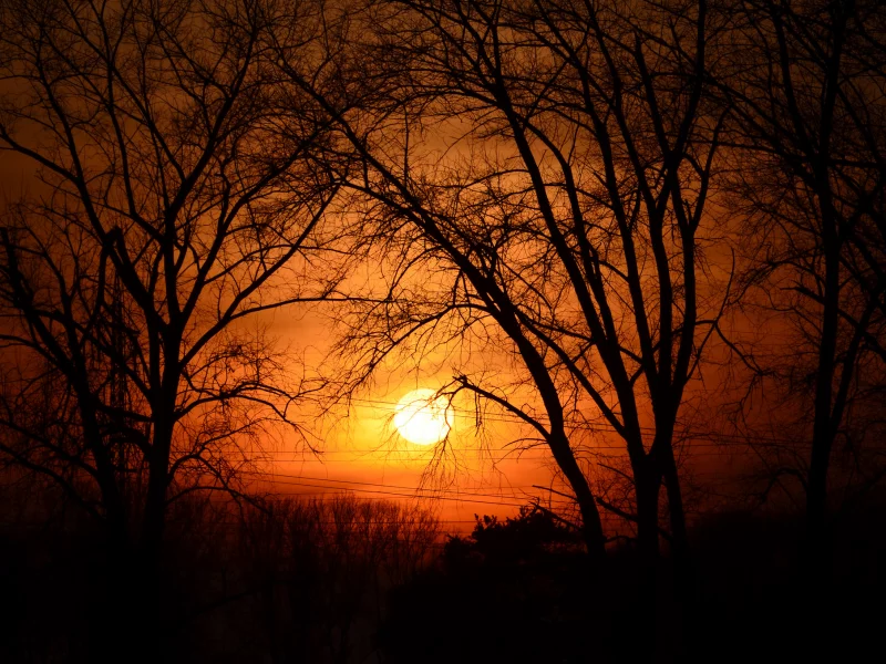 природа, красота