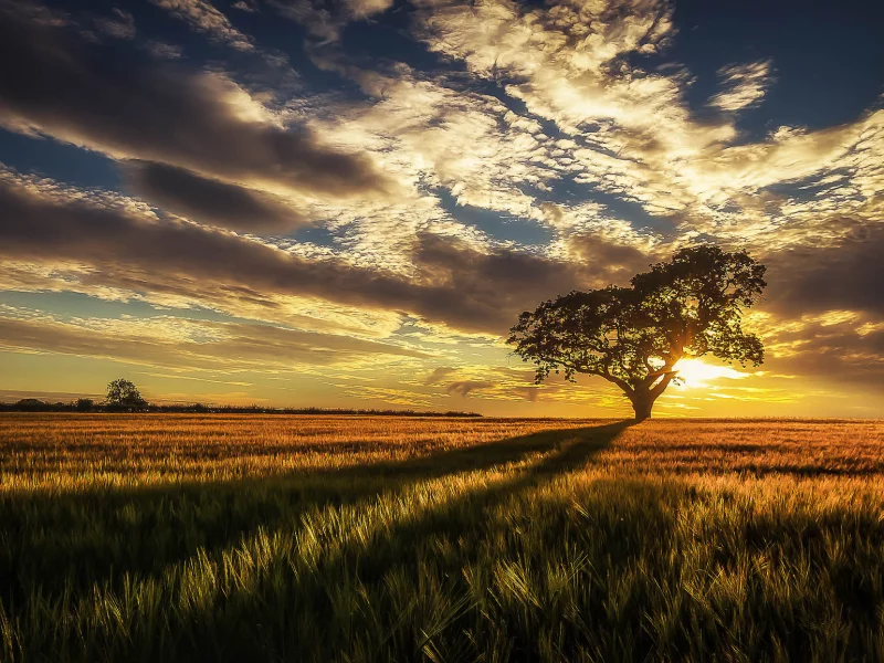 природа, красота