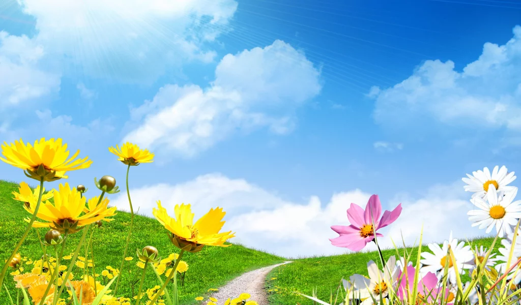 весна, небо, цветы сохранить, поле, ромашки, spring, солнце