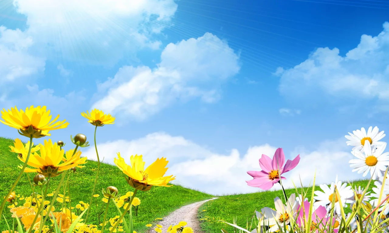 весна, небо, цветы сохранить, поле, ромашки, spring, солнце