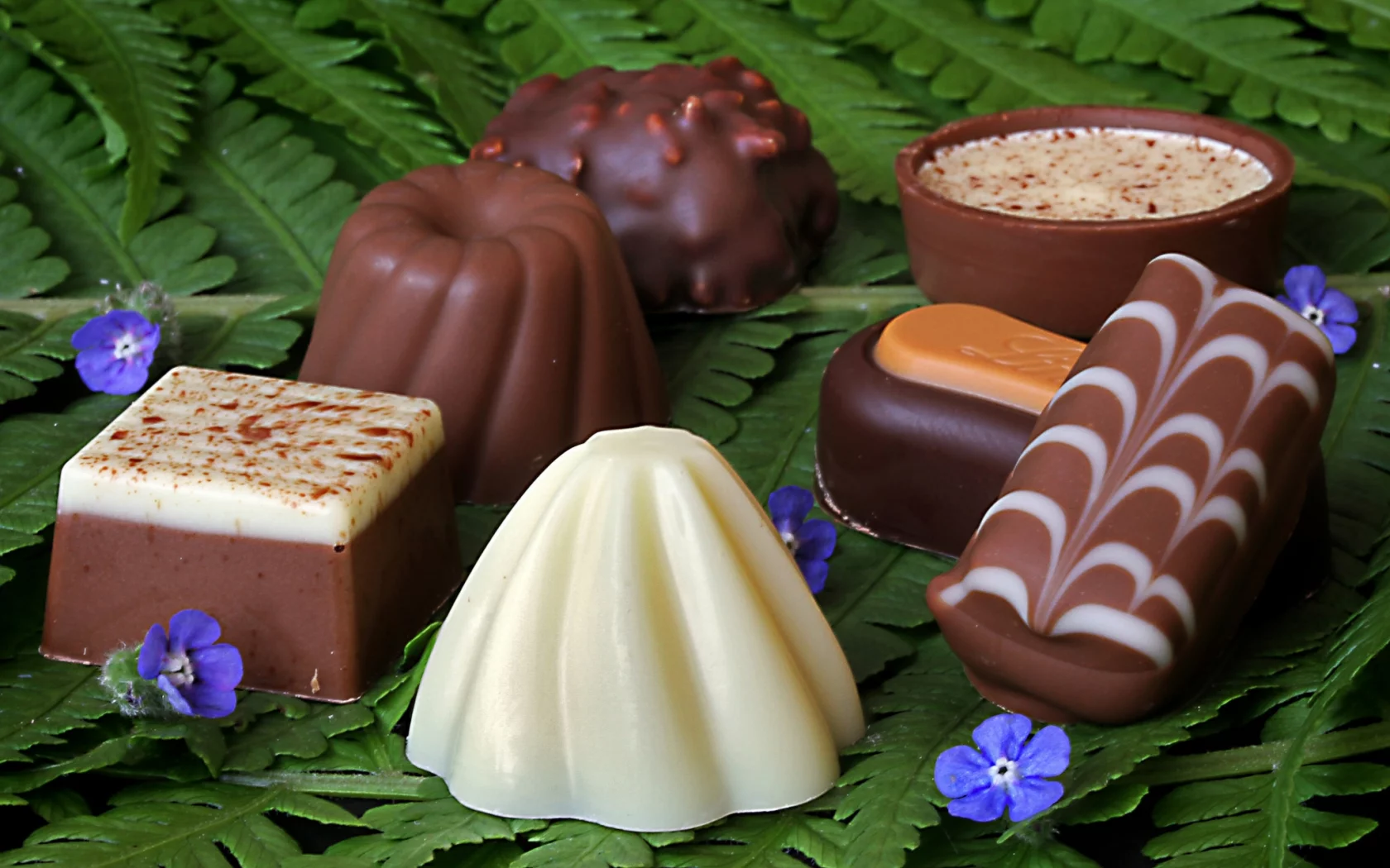 шоколад, фигурный, стол, конфеты, комната, table, chocolate, curly, candy, room, nice, sweets, environment, wood, table, main, room, read, nice, wide