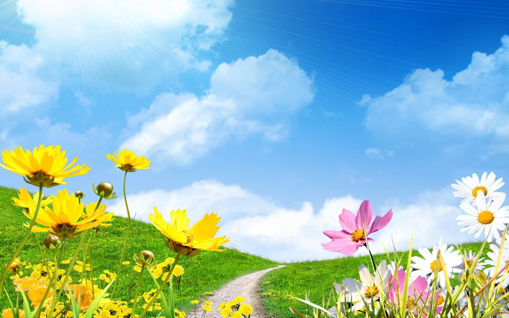 весна, небо, цветы сохранить, поле, ромашки, spring, солнце