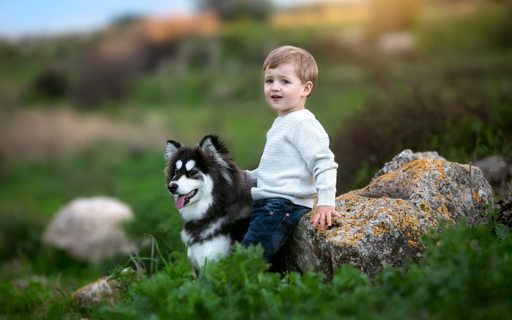 Дети с животными картинки на природе