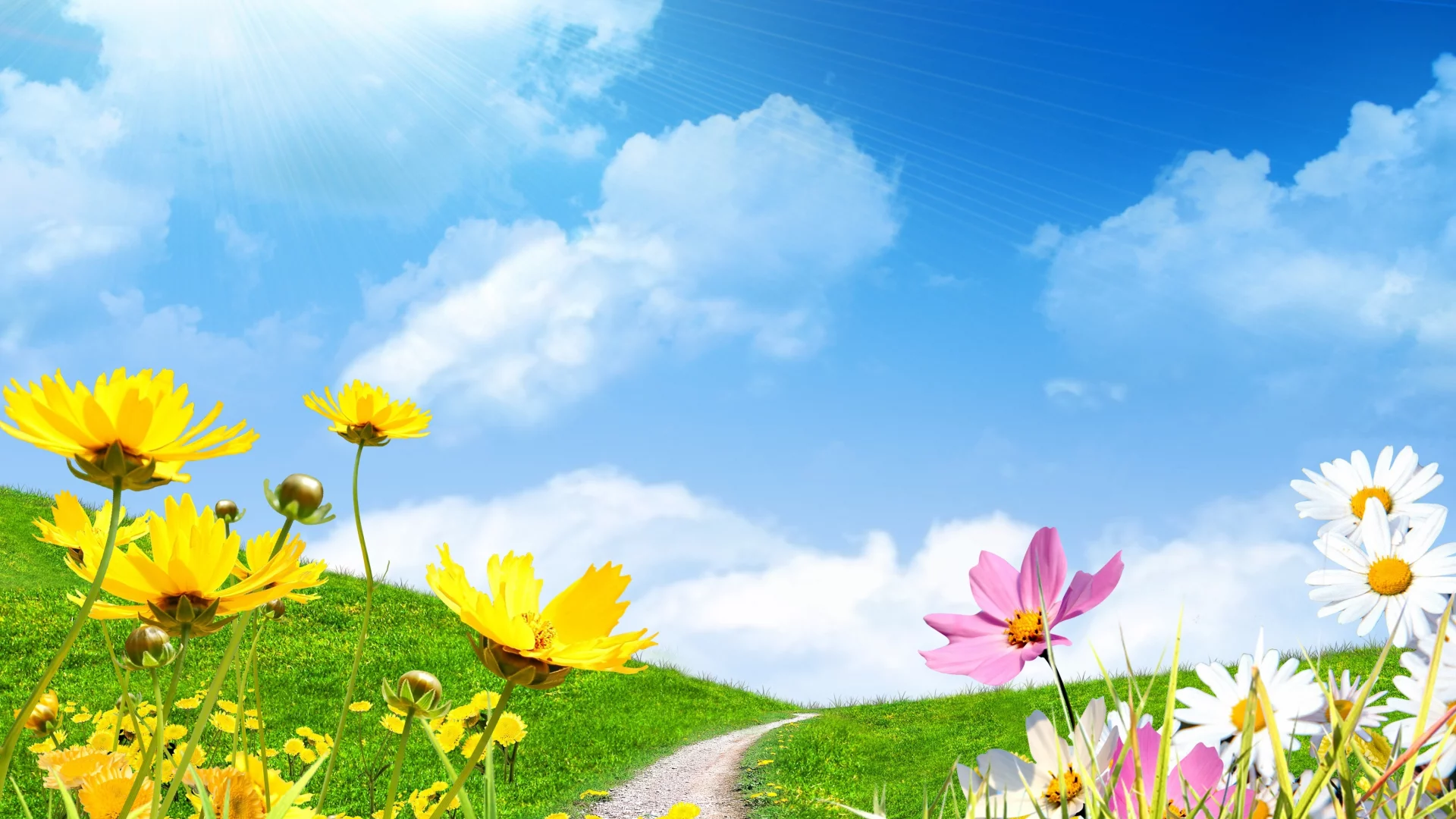 весна, небо, цветы сохранить, поле, ромашки, spring, солнце