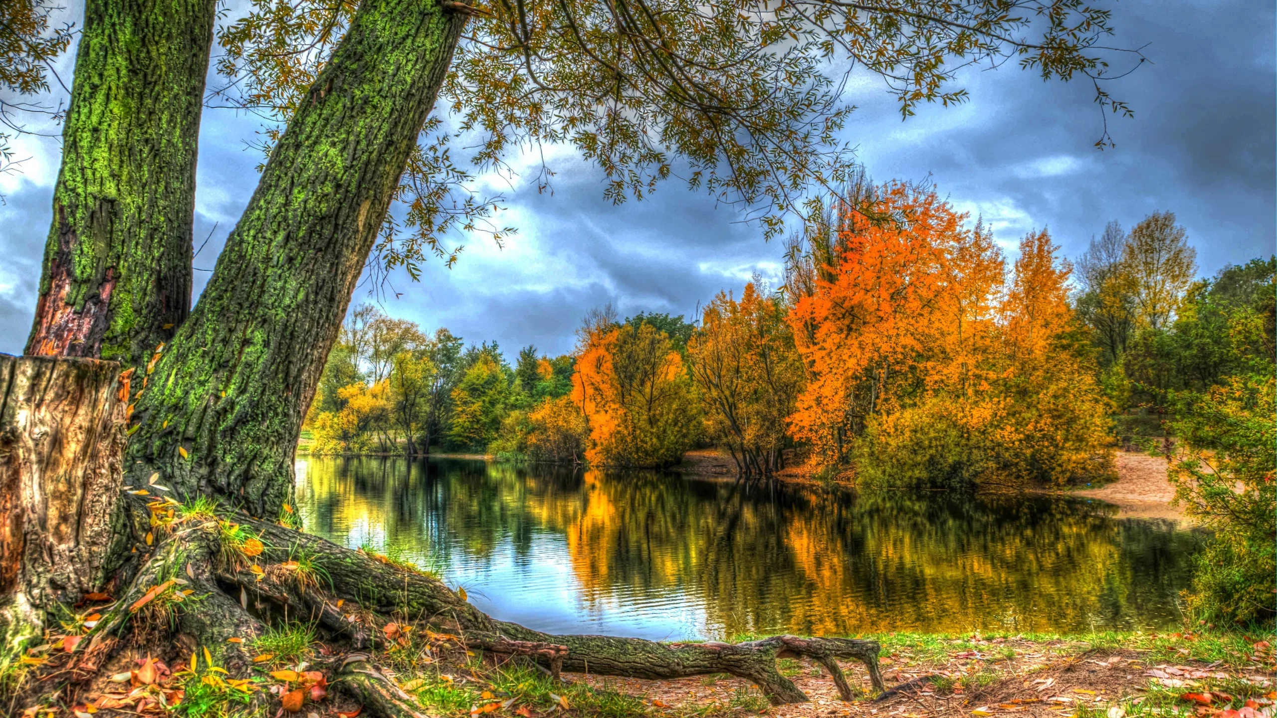 река, деревья, берег, осень, лес, листья