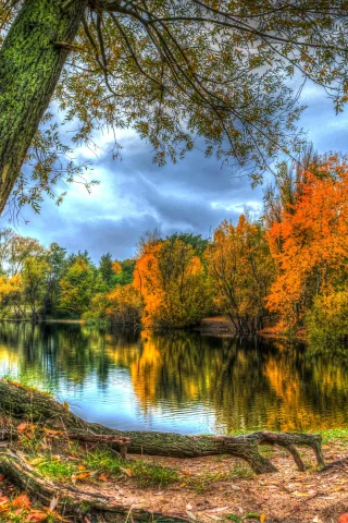 река, деревья, берег, осень, лес, листья