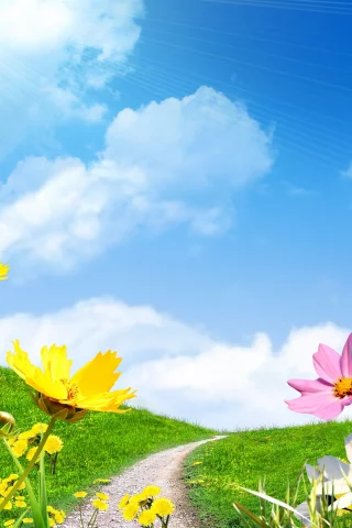весна, небо, цветы сохранить, поле, ромашки, spring, солнце