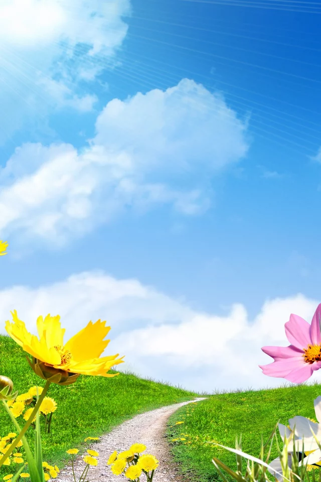 весна, небо, цветы сохранить, поле, ромашки, spring, солнце