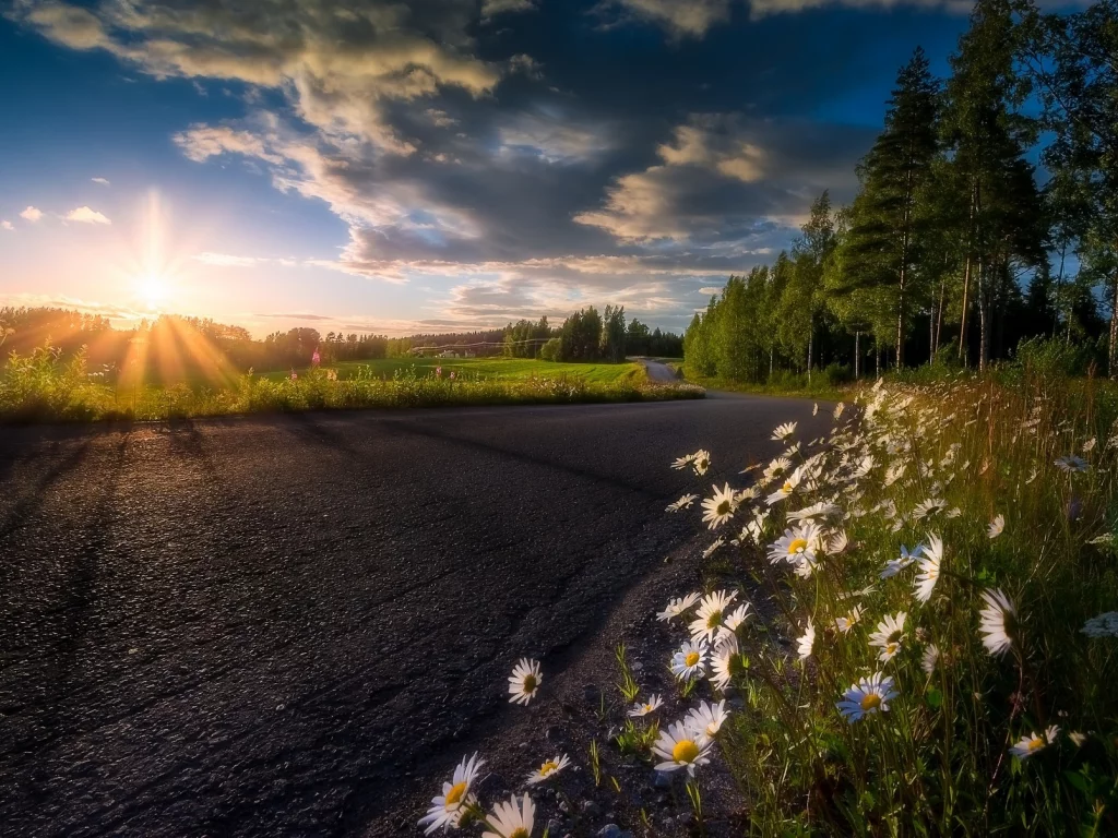 природа, красота