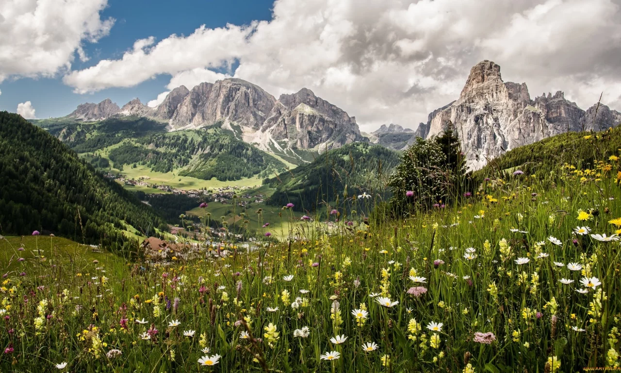природа, красота