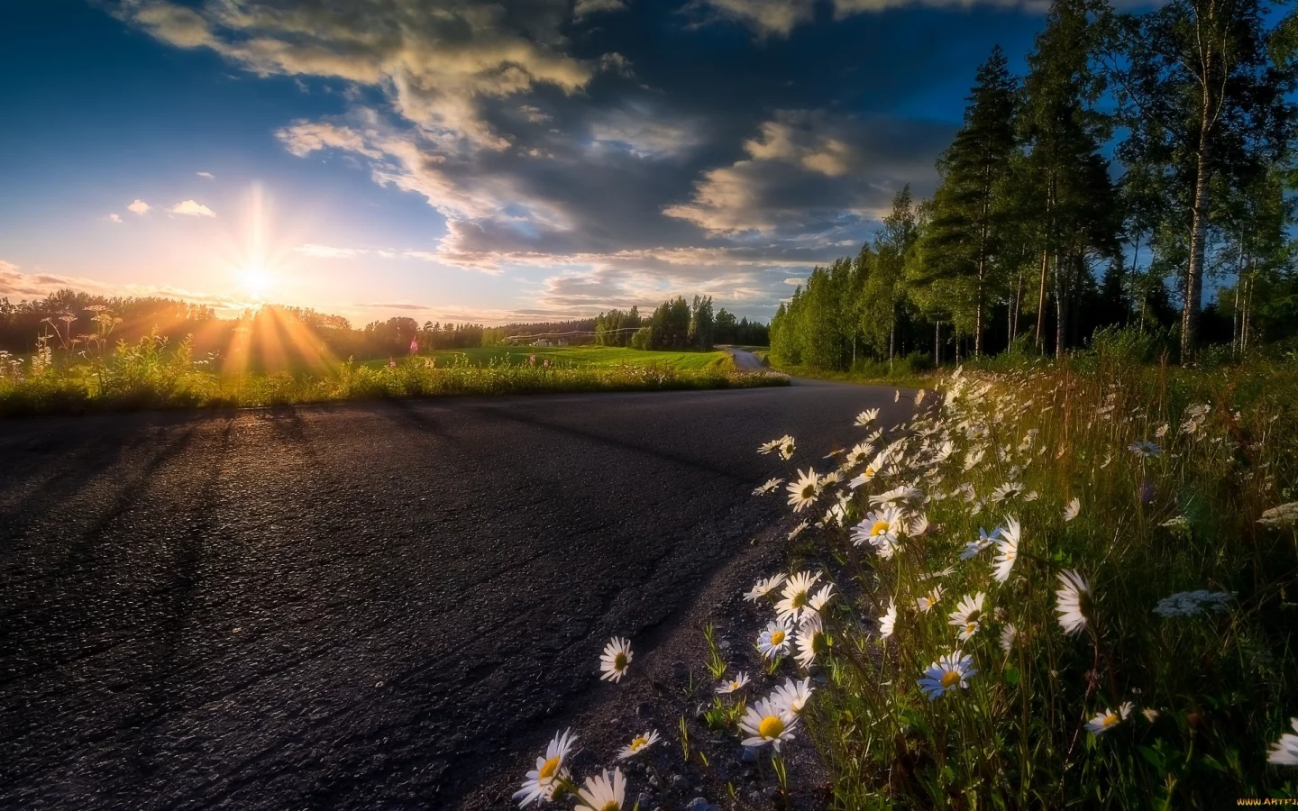 природа, красота
