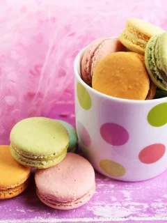 сладкое, печенье, color, macaron