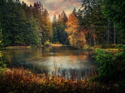 природа, красота