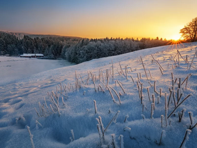 природа, красота