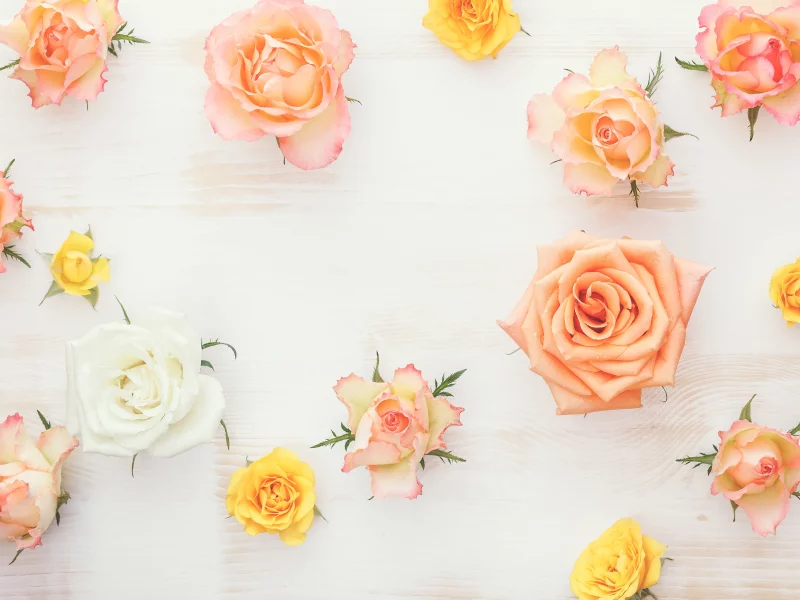 roses, flowers, wood1