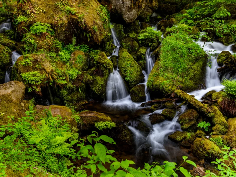 вода, камни