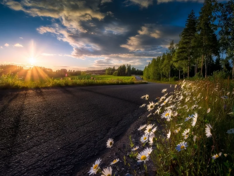 природа, красота