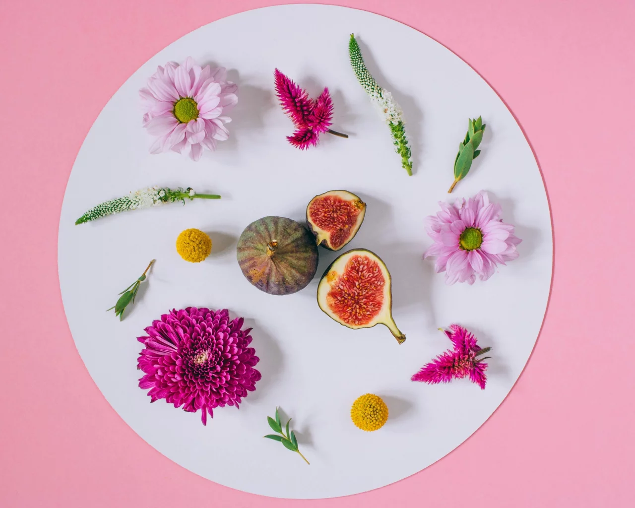 background, хризантемы, floral, frame, pink, flowers, цветы