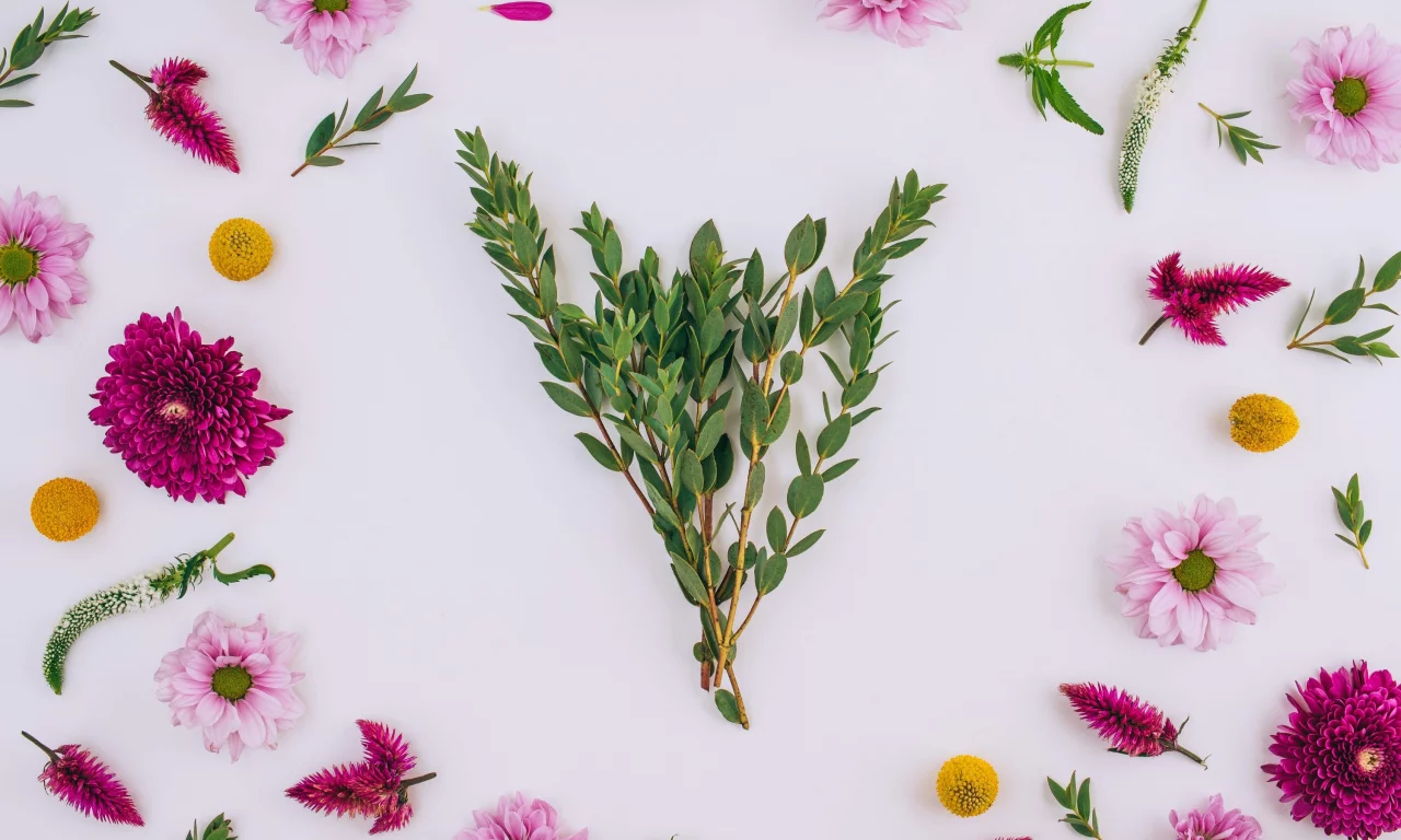 background, хризантемы, floral, frame, pink, flowers, цветы