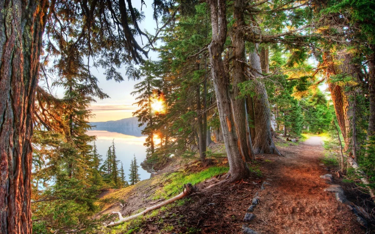 лес, тропинка, берег, forest, footpath, beach, light, trees, sunrise, grass, green, fence, leaves, mist, moss, trees, forest, fallen, green, nature, landscapes, trees, trail, woods, leaves, see, day, summer, wide