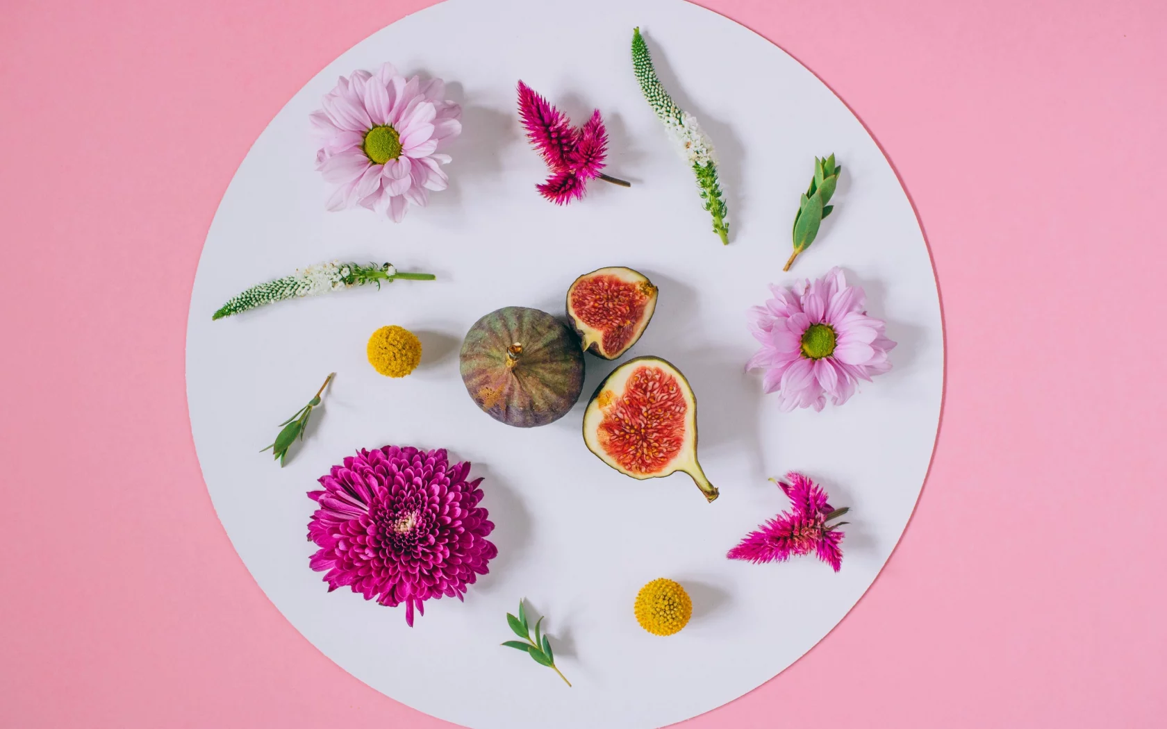 background, хризантемы, floral, frame, pink, flowers, цветы