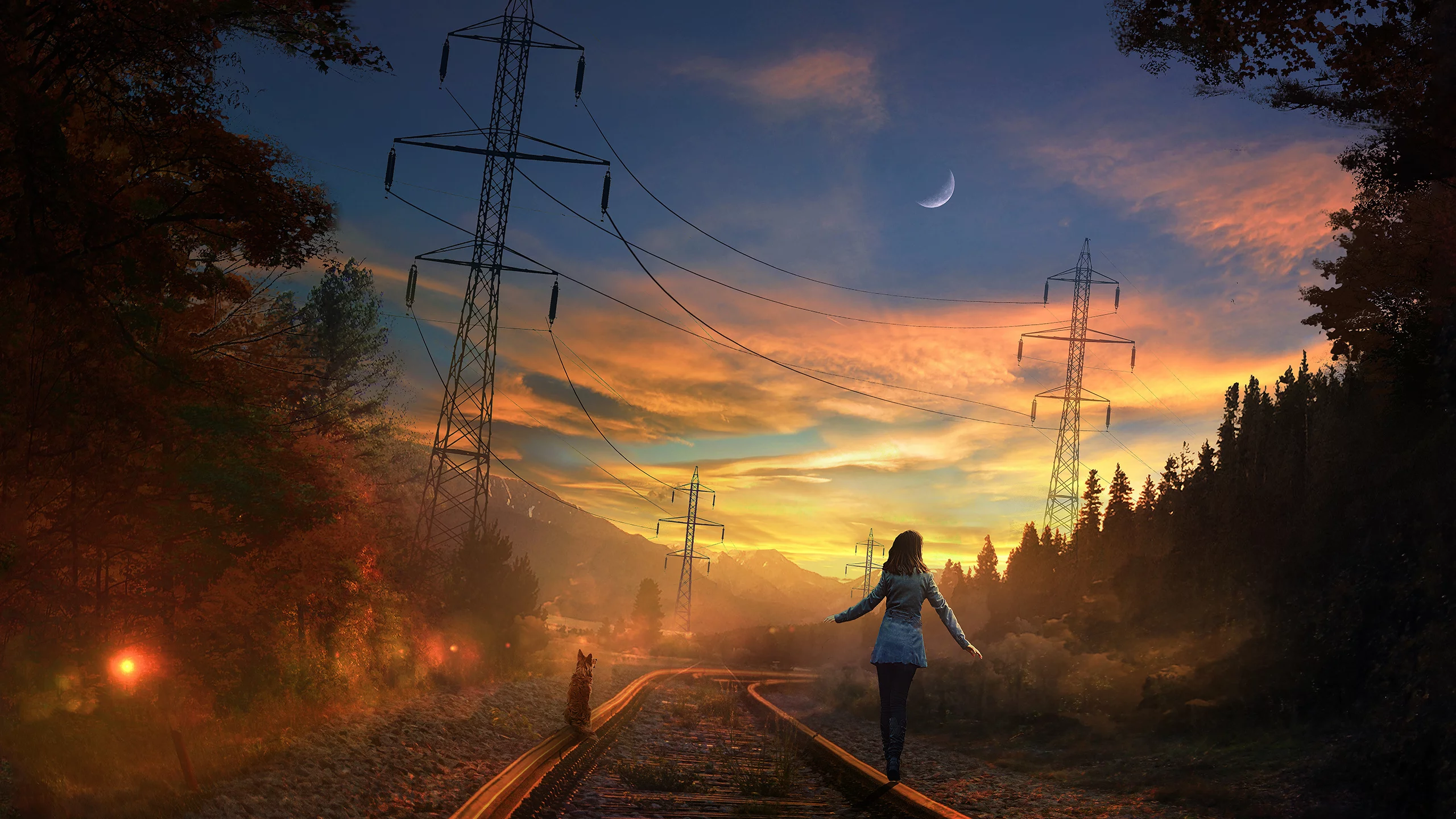 лес, железная дорога, девушка, собака, луна, forest, girl, dog, moon, railroad, highway, dark, trees, sunrise, grass, green, fence, leaves, mist, moss, trees, forest, fallen, park, green, nature, landscapes, trees, forest, trail, woods, leaves, sunri