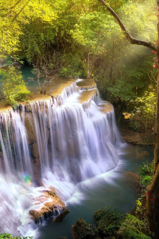 природа, красота
