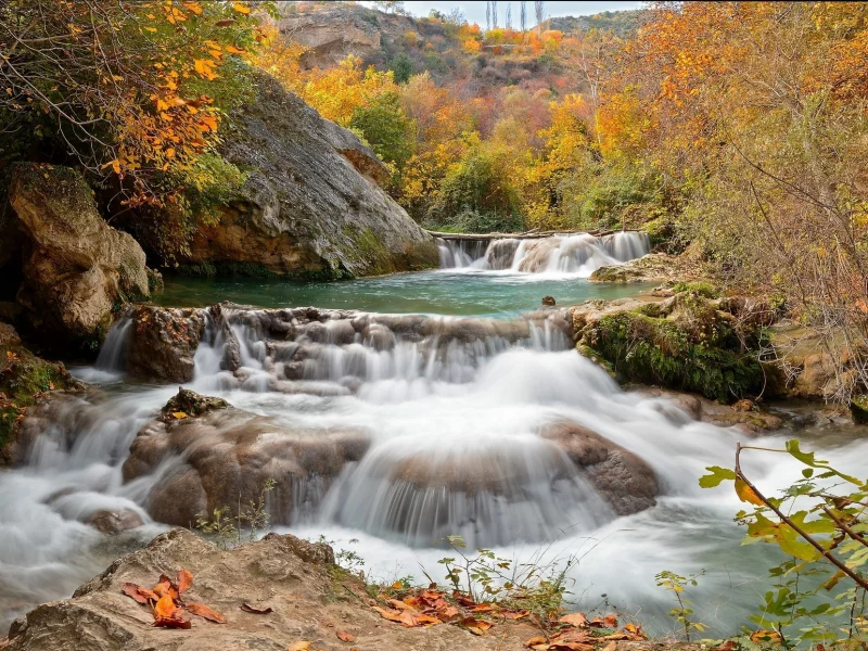 природа, красота