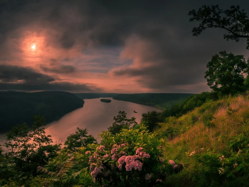 природа, красота